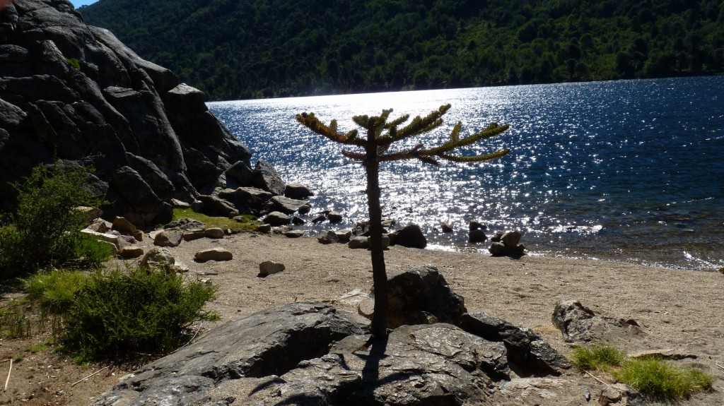 Foto: Lago Rucachoroi - Aluminé (Neuquén), Argentina