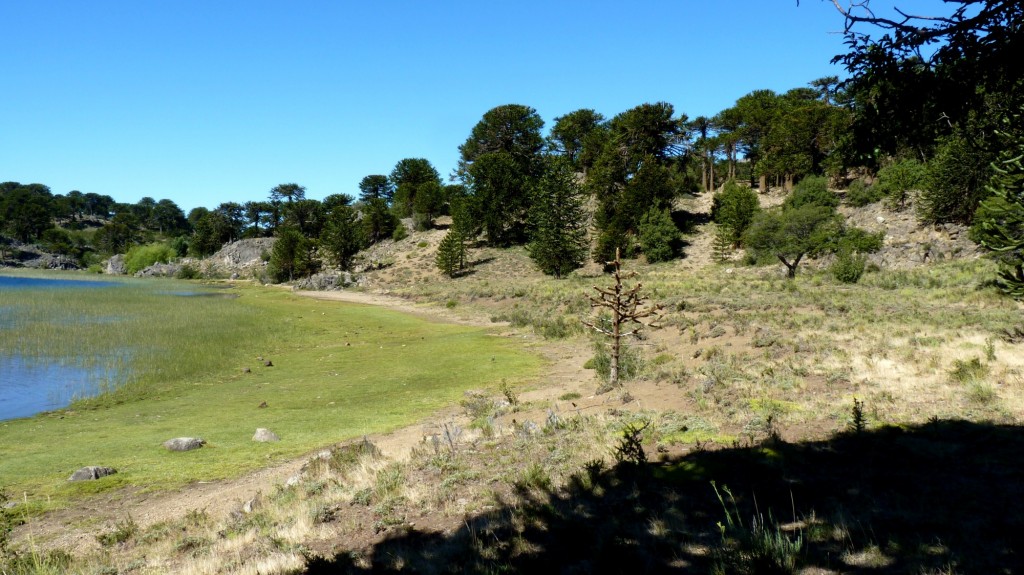 Foto: Lago Rucachoroi - Aluminé (Neuquén), Argentina