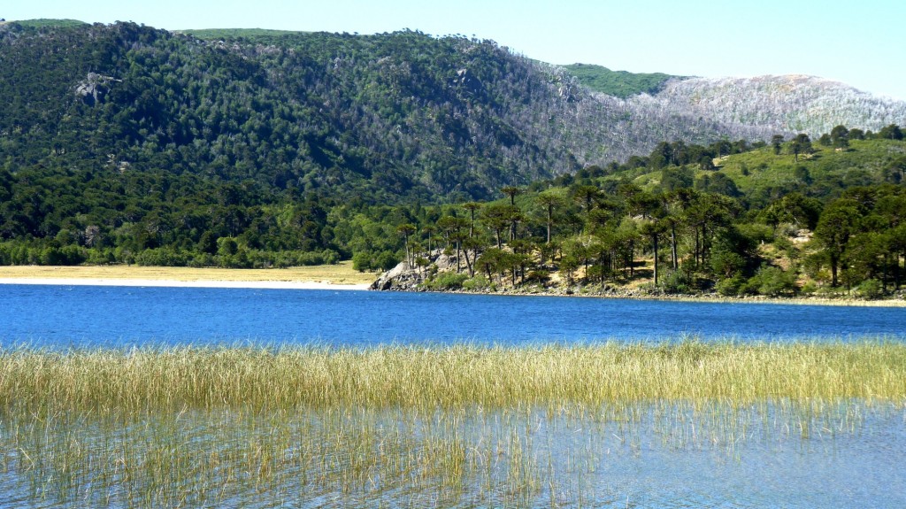 Foto: Lago Rucachoroi - Aluminé (Neuquén), Argentina