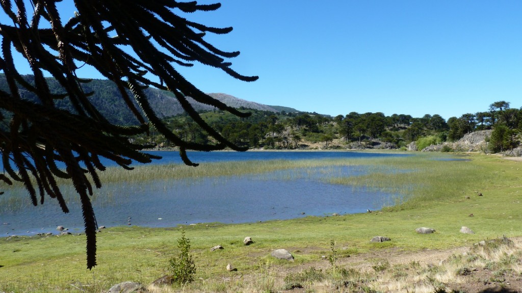 Foto: Lago Rucachoroi - Aluminé (Neuquén), Argentina