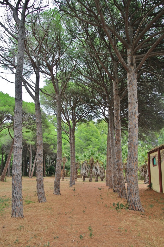 Foto: Parc Samà - Cambrils (Cataluña), España