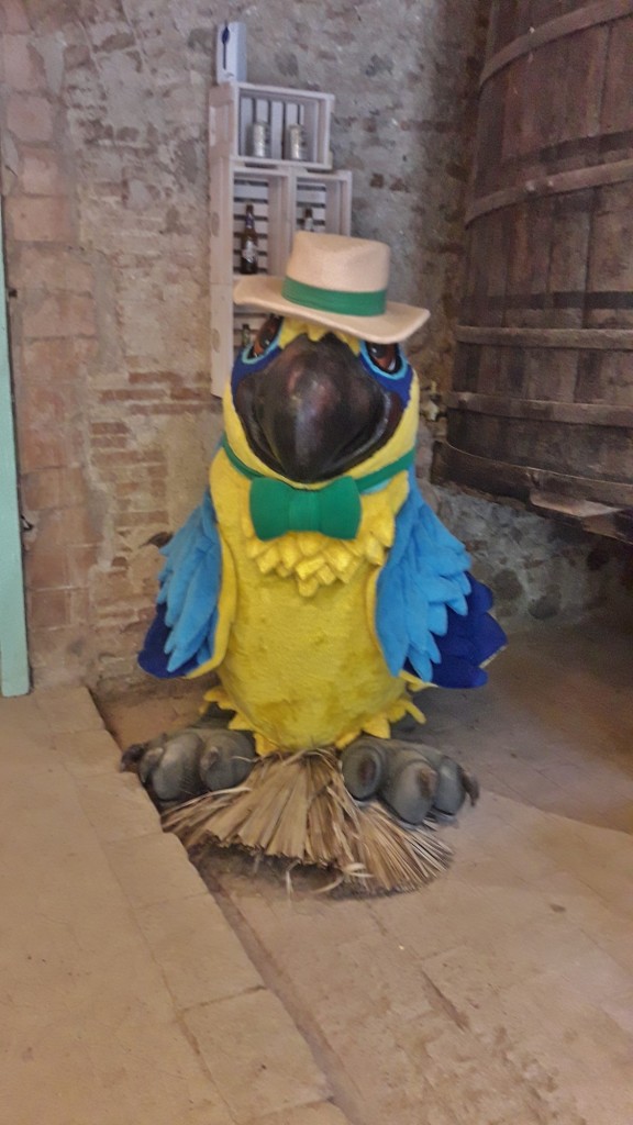 Foto: Parc Samà - Cambrils (Cataluña), España