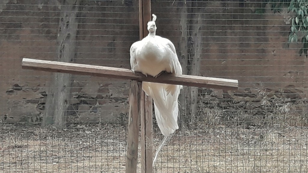 Foto: Parc Samà - Cambrils (Cataluña), España