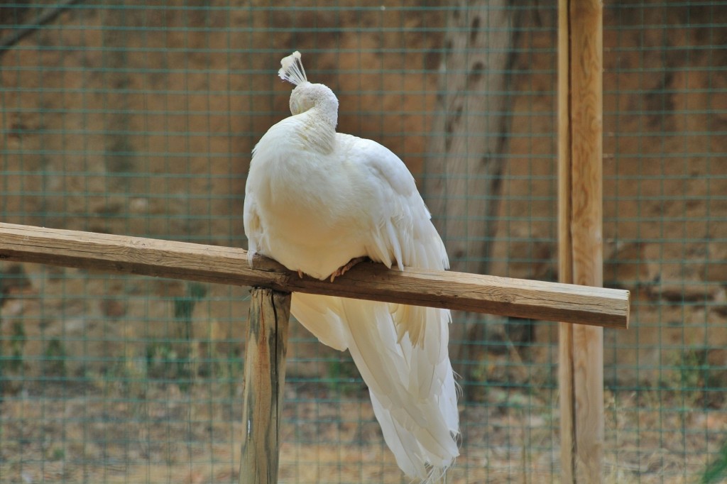 Foto: Parc Samà - Cambrils (Cataluña), España