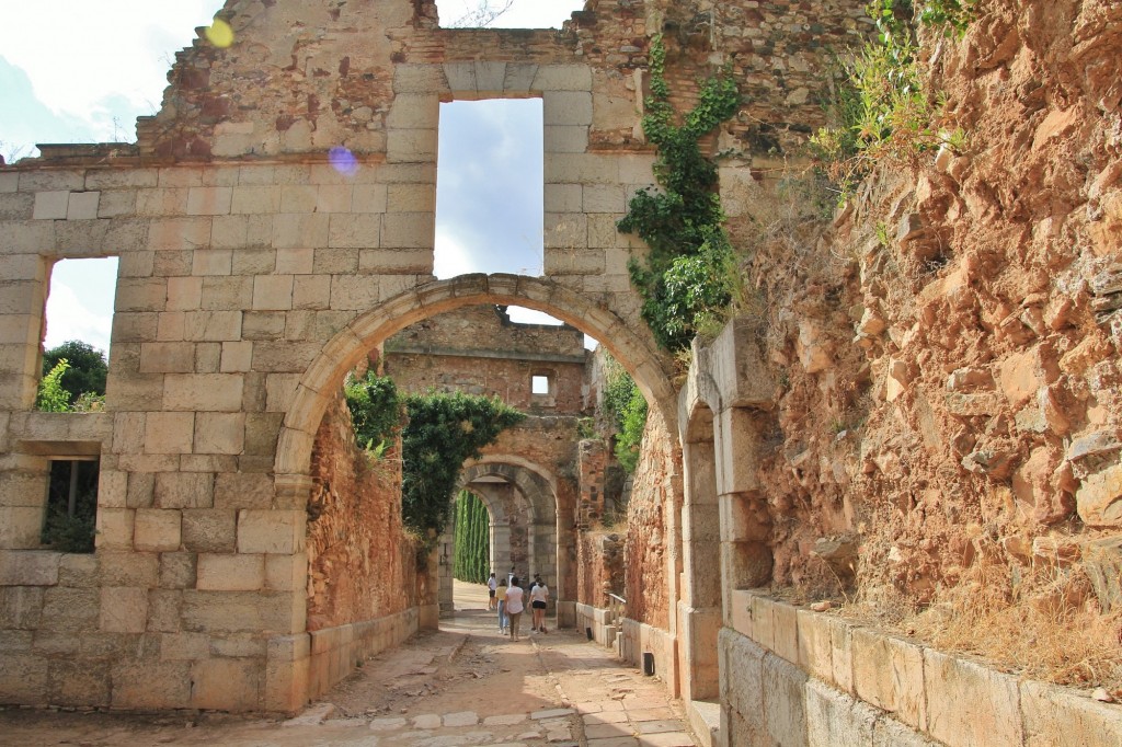 Foto: Cartuja - Escaladei (Cataluña), España