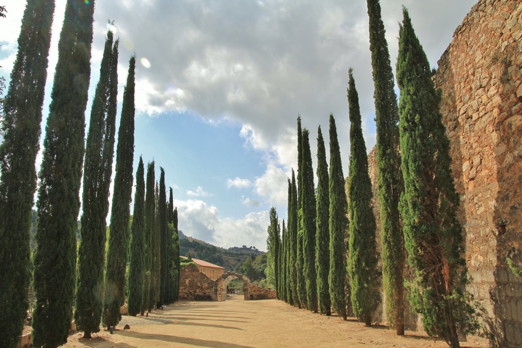 Foto: Cartuja - Escaladei (Cataluña), España
