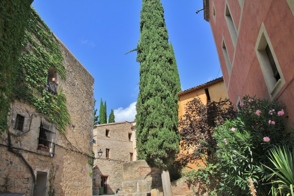 Foto: Centro histórico - Escaladei (Cataluña), España