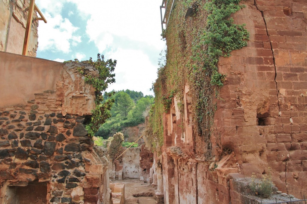 Foto: Cartuja - Escaladei (Cataluña), España