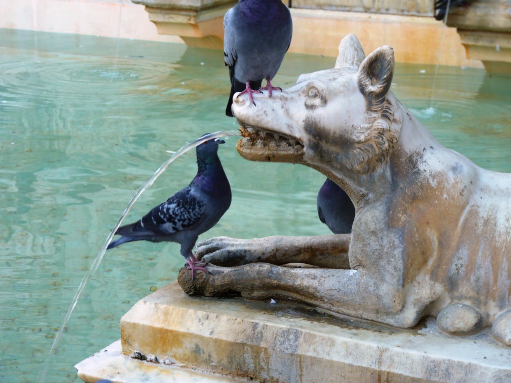 Foto: Siena - Siena (Tuscany), Italia