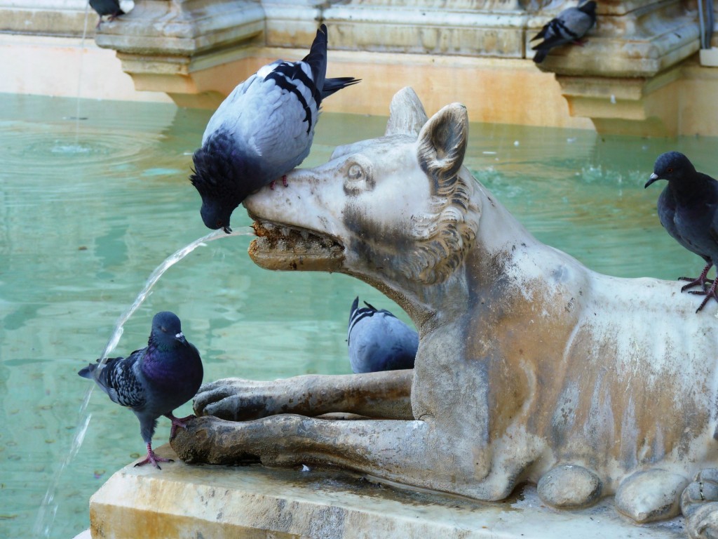 Foto: Siena - Siena (Tuscany), Italia