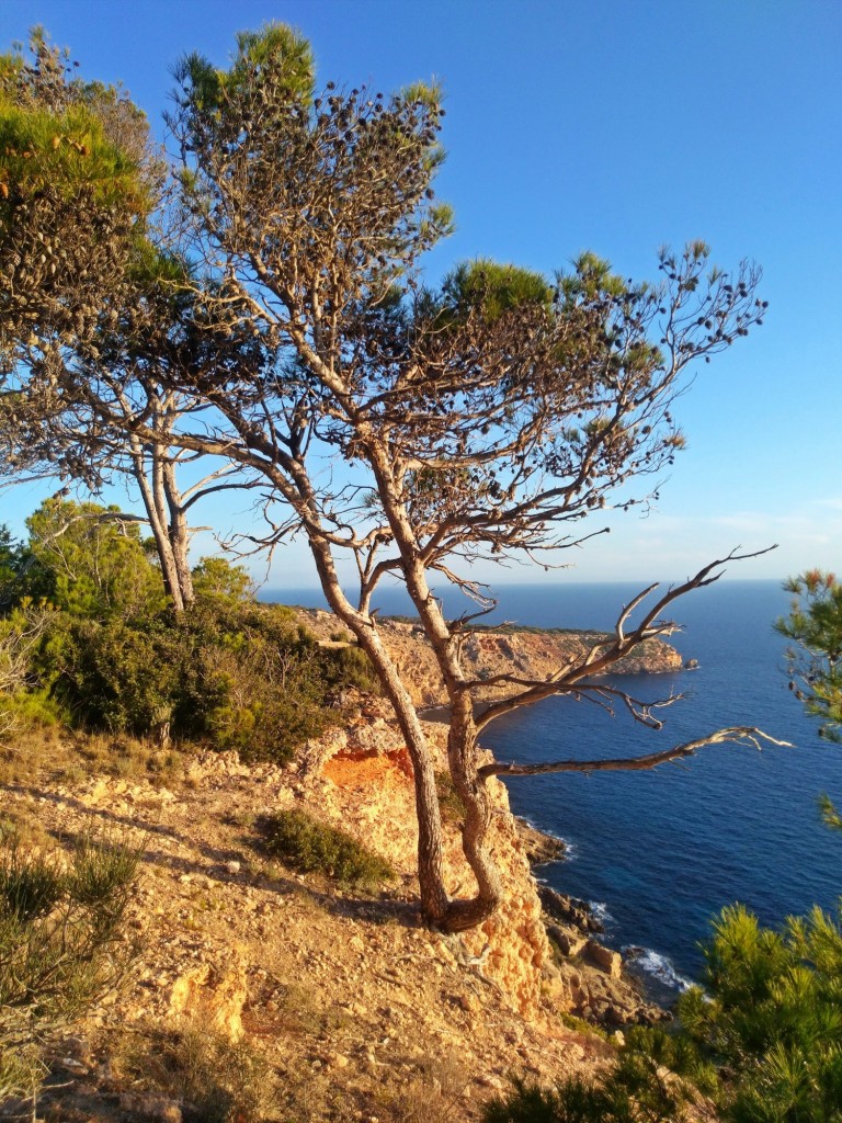 Foto de Calviá (Illes Balears), España