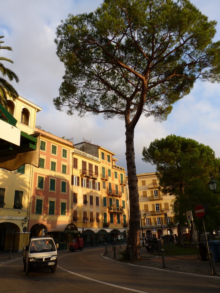 Foto: Santa Margherita Ligure - Génova (Liguria), Italia