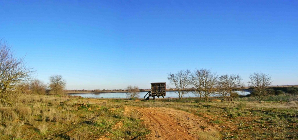 Foto: El mirador del embalse - Zuares del Páramo (Castilla y León), España
