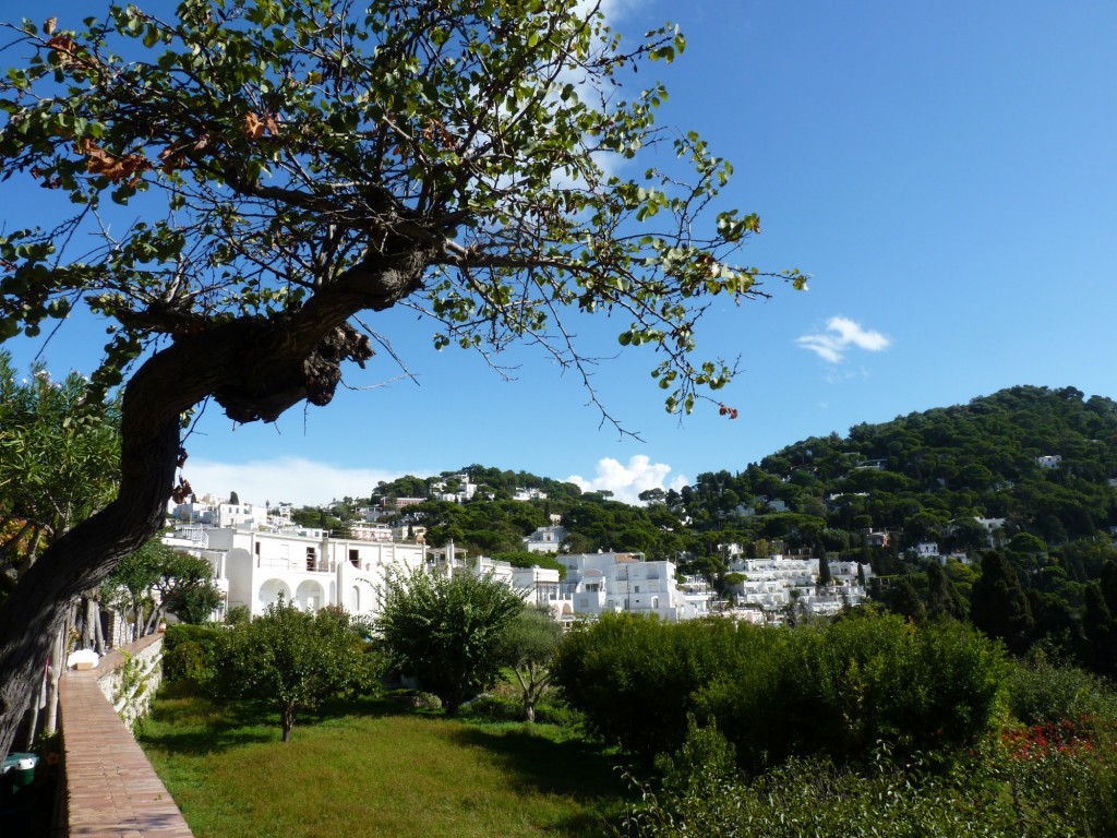 Foto: Isla de Capri - Nápoles (Campania), Italia