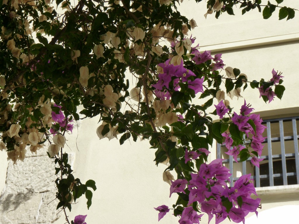 Foto: Paola - Cosenza (Calabria), Italia