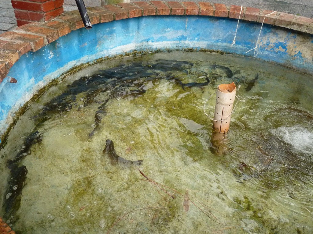 Foto: Paola - Cosenza (Calabria), Italia