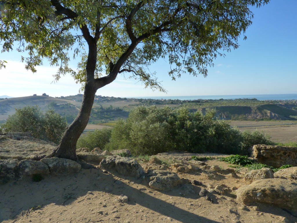 Foto: Agrigento - Agrigento (Sicily), Italia