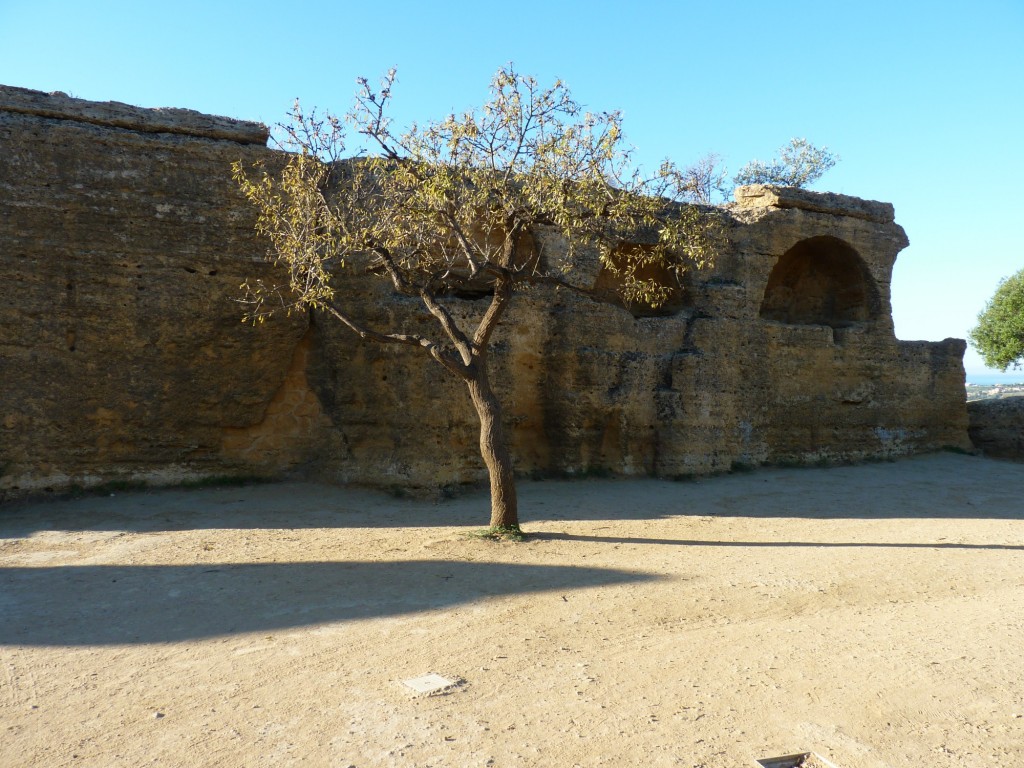 Foto: Agrigento - Agrigento (Sicily), Italia