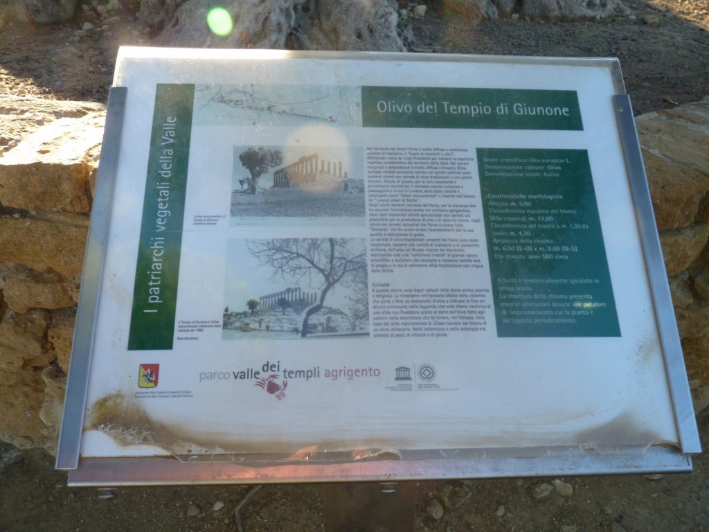 Foto: Agrigento - Agrigento (Sicily), Italia