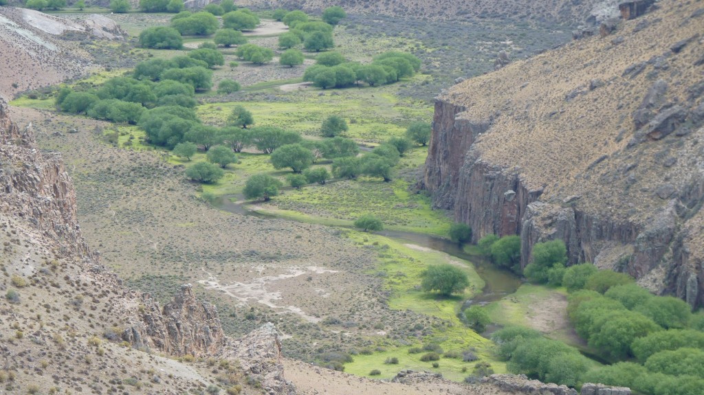Foto: Cañadón del Río Pinturas - Perito Moreno (Santa Cruz), Argentina