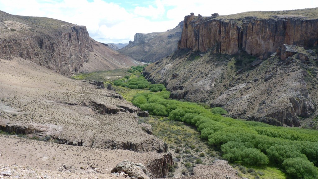 Foto: Cañadón del río Pinturas - Perito Moreno (Santa Cruz), Argentina