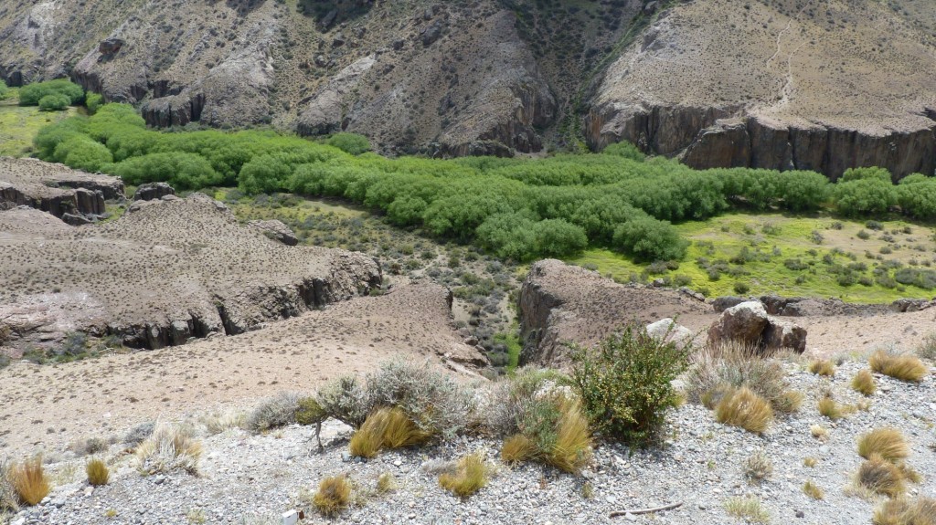 Foto: Cañadón del Río Pinturas - Perito Moreno (Santa Cruz), Argentina