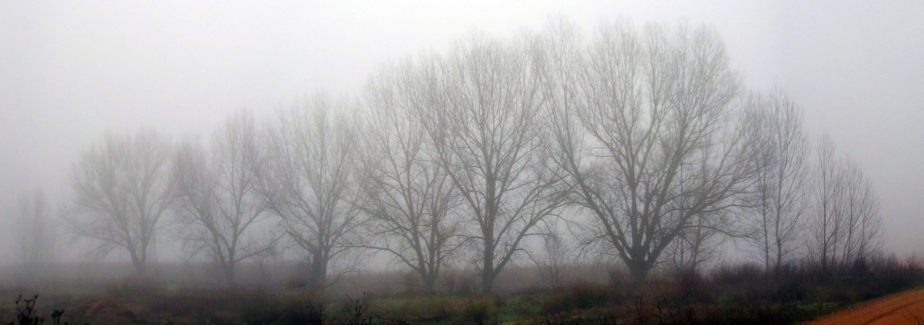 Foto: Entre la niebla - Zuares del Páramo (Castilla y León), España