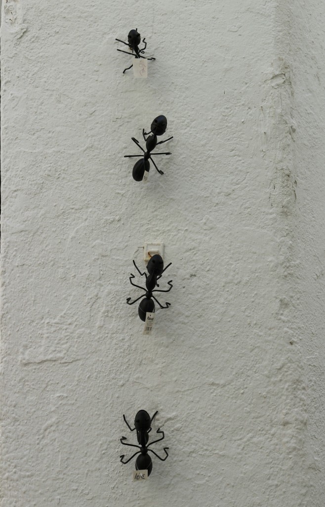 Foto: Detalle - Cadaqués (Girona), España