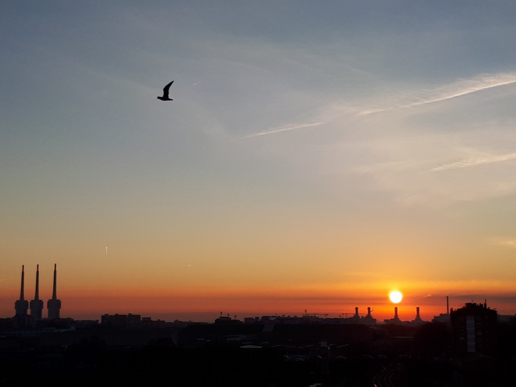 Foto: Amanecer - Sant Adrià de Besòs (Cataluña), España