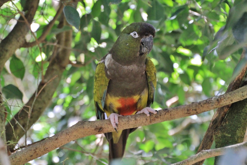Foto: Butterflay Park - Castelló d´Empuries (Girona), España