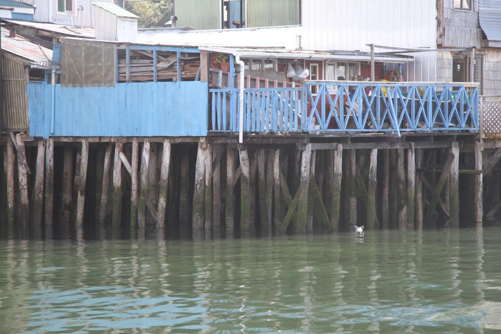 Foto de Isla Grande de Chiloé (Los Lagos), Chile