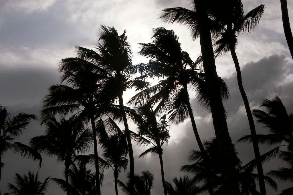 Foto: Al atardecer - Punta Cana (La Altagracia), República Dominicana