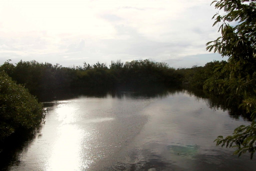 Foto: Un río - Punta Cana (La Altagracia), República Dominicana