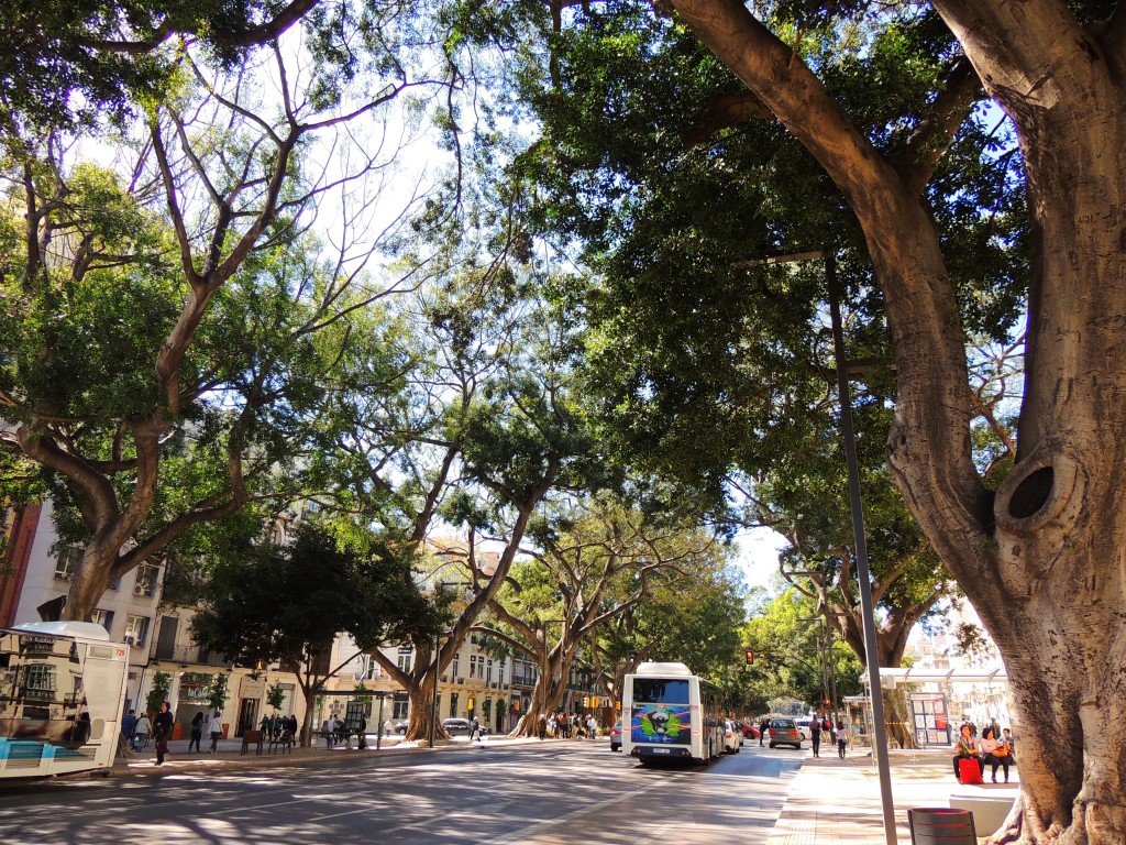 Foto de Málaga (Andalucía), España