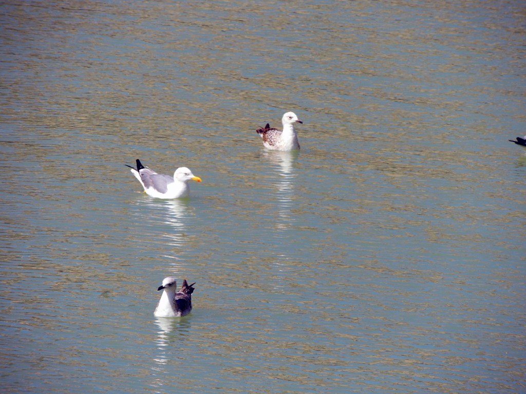 Foto de Málaga (Andalucía), España