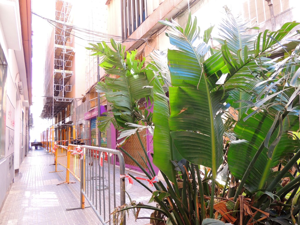 Foto de Málaga (Andalucía), España