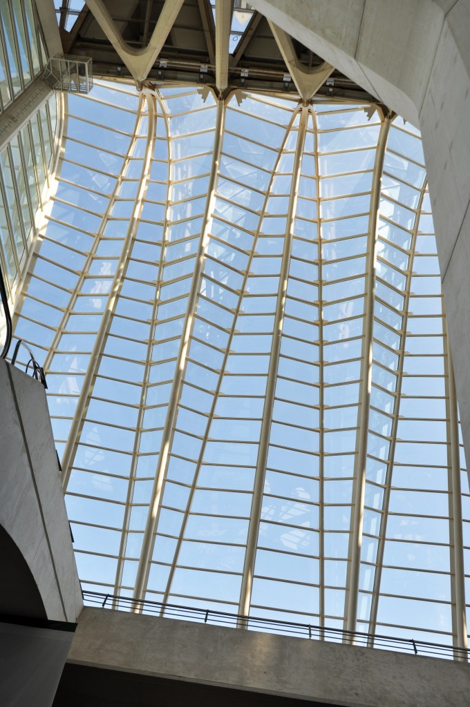 Foto: Cristalera Museo Principe Felipe - Valencia (València), España