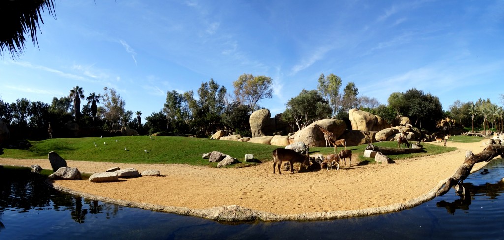 Foto: Panoramica del Bioparc - Valencia (València), España