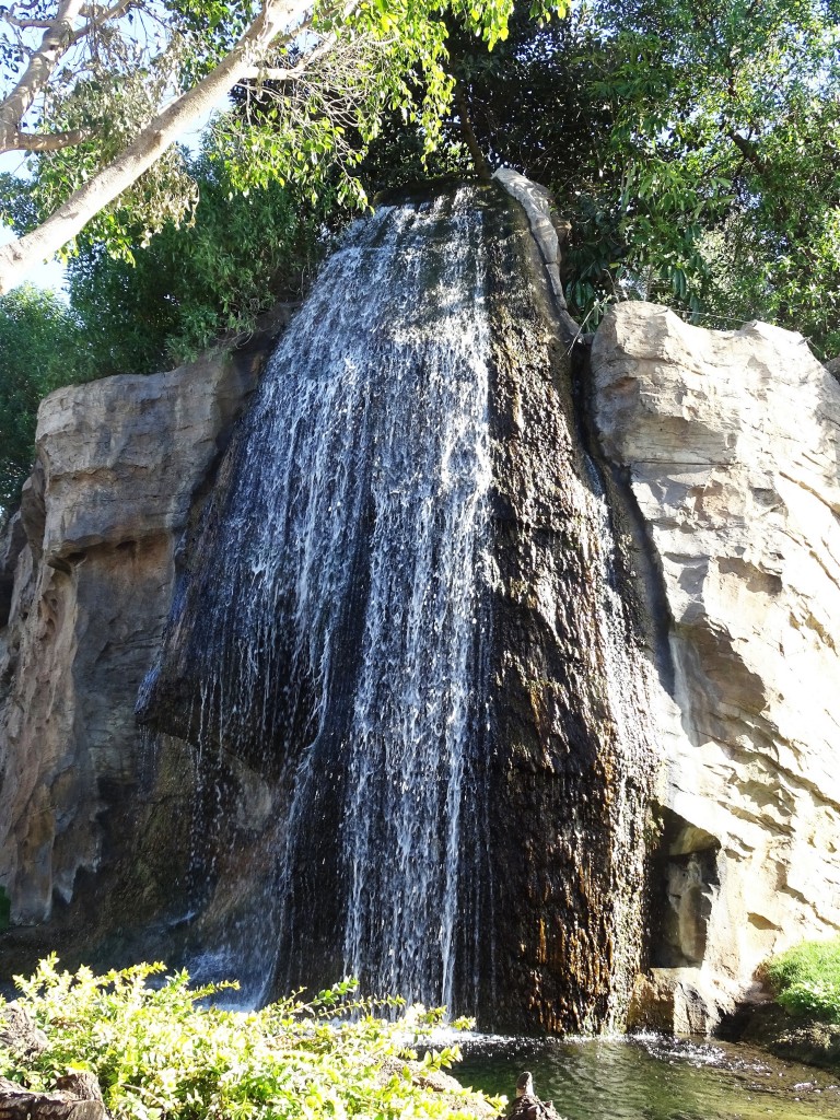 Foto: Bioparc - Valencia (València), España