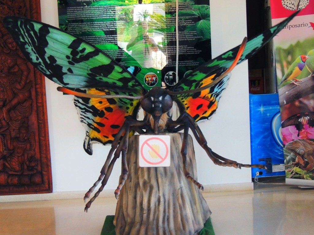 Foto de Benalmádena (Málaga), España