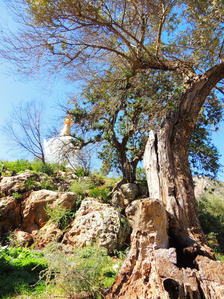 Foto de Benalmádena (Málaga), España