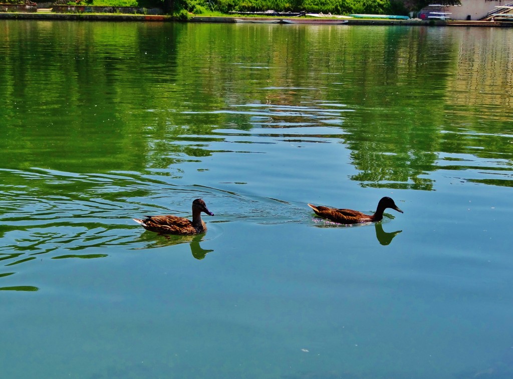 Foto: Río Po - Torino (Piedmont), Italia