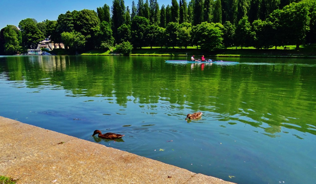 Foto: Río Po - Torino (Piedmont), Italia