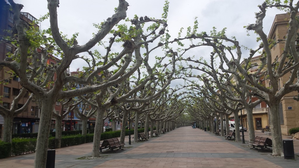 Foto: Paseo Cortes de Aragon - Calatayud (Zaragoza), España