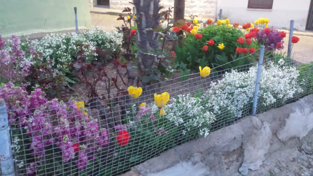 Foto: Barrio de San Antonio - Calatayud (Zaragoza), España