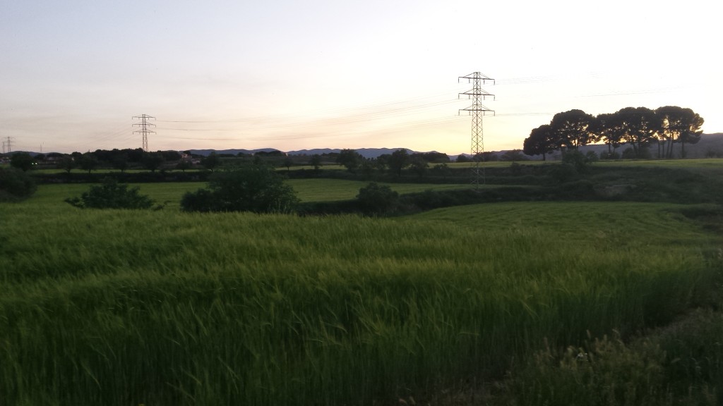 Foto: Cercanias de los Pinos de Ostariz en la primavera de 2020 - Calatayud (Zaragoza), España