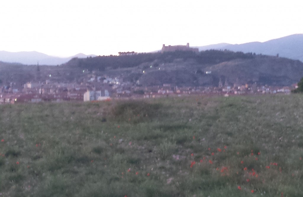 Foto: Primavera 2020 - Calatayud (Zaragoza), España