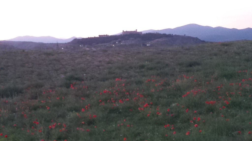 Foto: Vista - Calatayud (Zaragoza), España