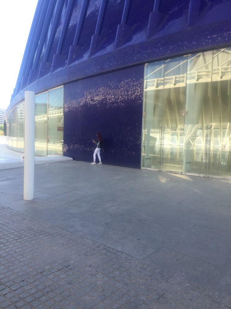 Foto: Ciudad de las artes y las ciencias - Oceanogràfic - Valencia (València), España