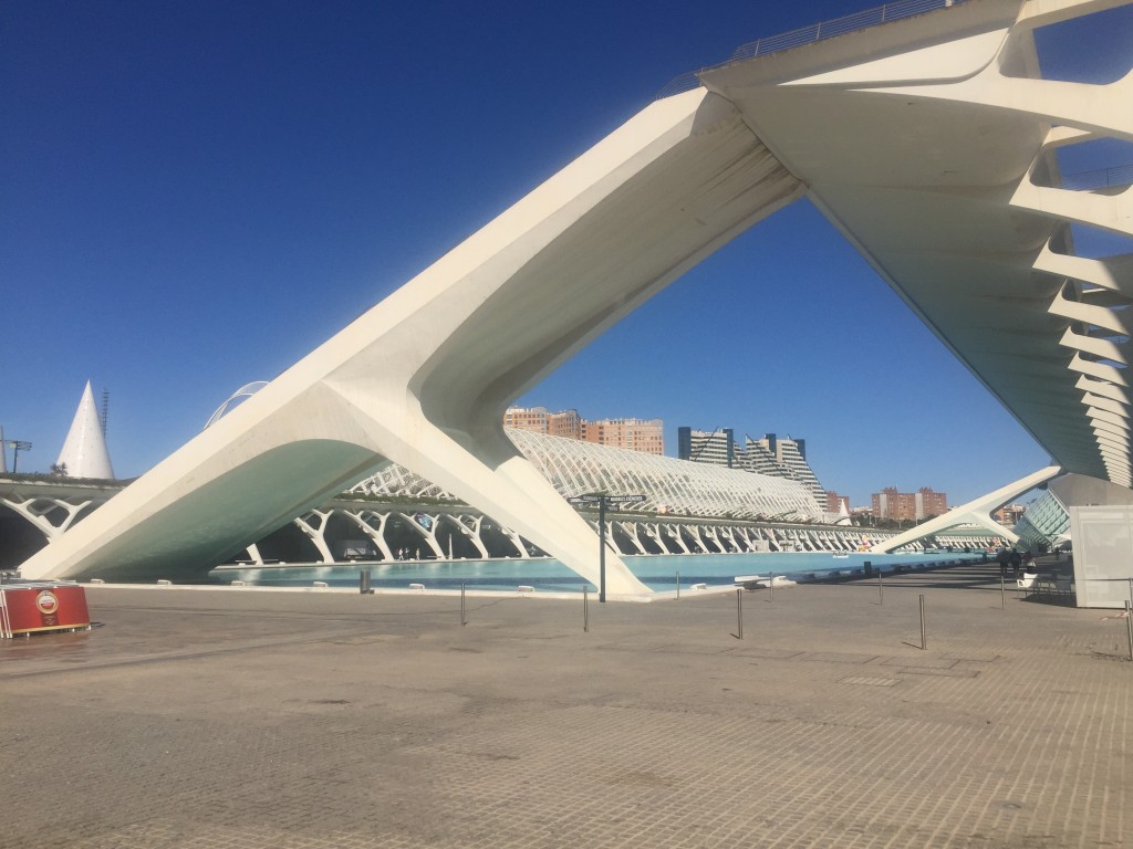 Foto: Ciudad de las artes y las ciencias - Oceanogràfic - Valencia (València), España